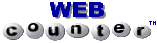 Hit counter logo