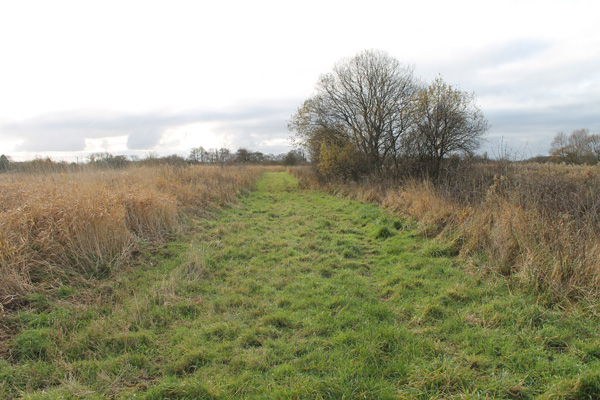 Carr House Green Common track