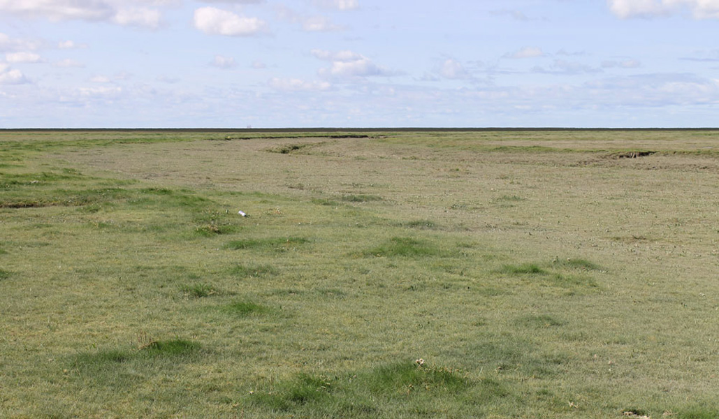 bank Marsh today