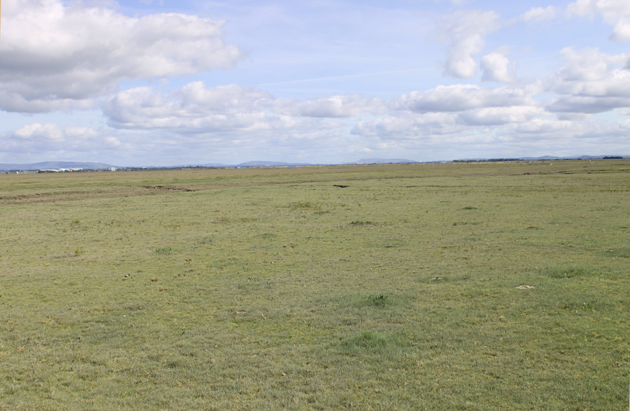 Bank Marsh today