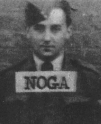 Noga portrait